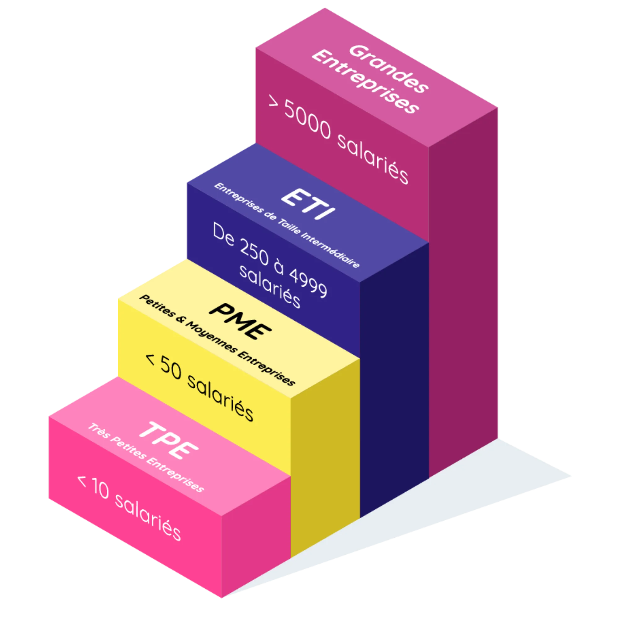 image d'une échelle avec les différents types d'entreprises